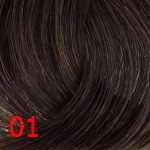 краска Kapous Studio 01 Усилитель цвета Пепельный